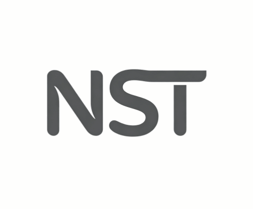 NST Metal products